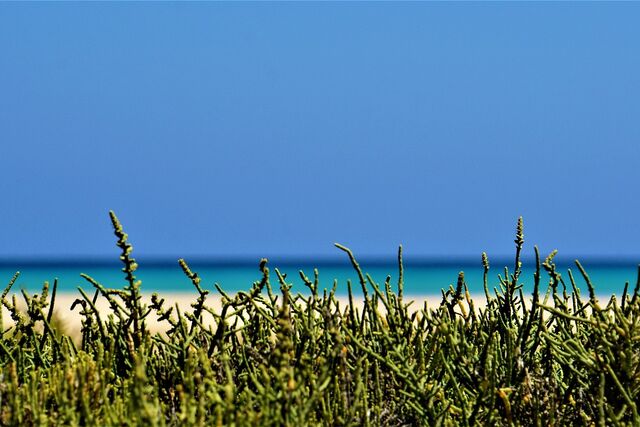 Fuerteventura – Kanarische Inseln · Spanien